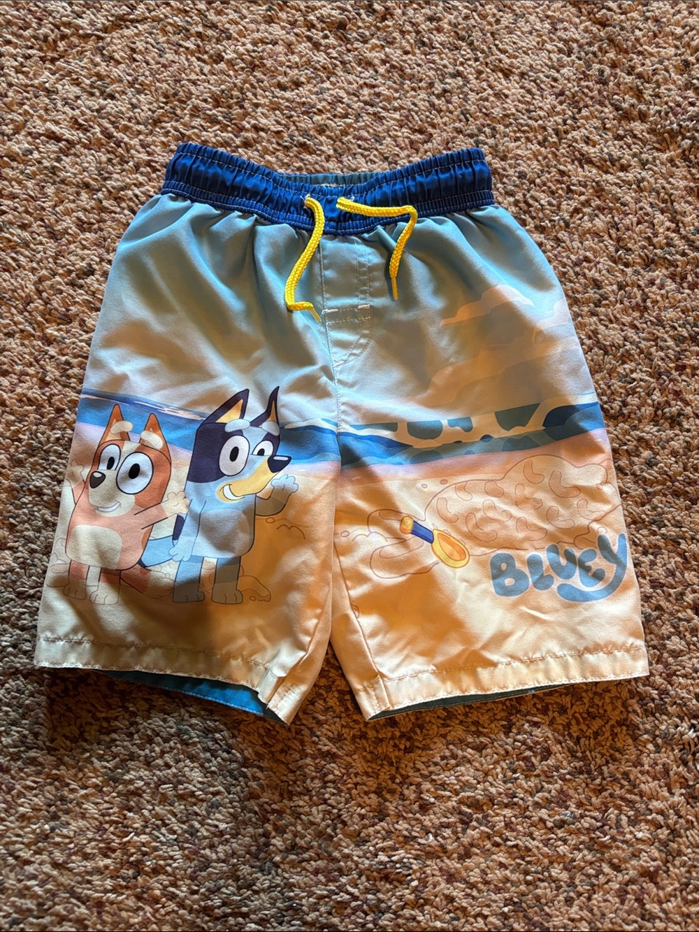 Bluey Swim Shorts